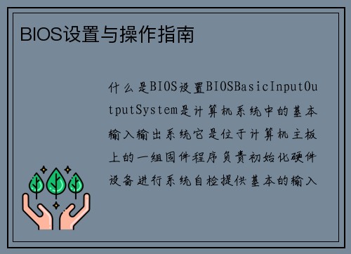 BIOS设置与操作指南