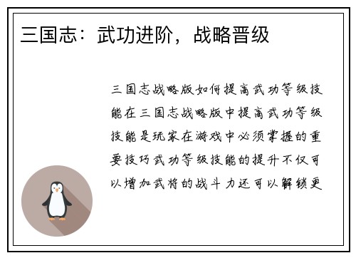 三国志：武功进阶，战略晋级